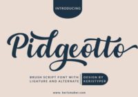 Pidgeotto Font - Featured Image