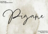 Pigane Font - Featured Image