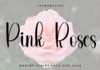 Pink Roses Font - Featured Image