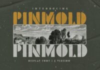 Pinmold Font - Featured Image