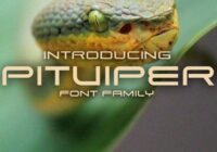 Pitviper Font - Featured Image