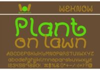 Plant on Lawn Font - Featured Image
