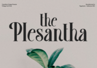 Plesantha Font - Featured Image