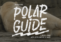 Polar Guide Font - Featured Image