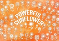 Powerful Sunflower Font - Featured Image