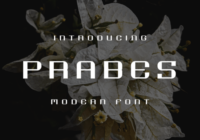 Prabes Font - Featured Image