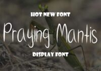 Praying Mantis Font - Featured Image
