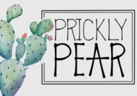 Prickly Pear Font - Featured Image