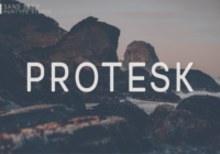 Protesk Font - Featured Image