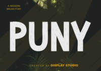 Puny Font - Featured Image