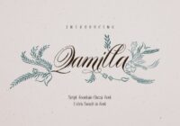 Qamilla Font - Featured Image