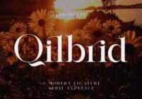 Qilbrid Font - Featured Image