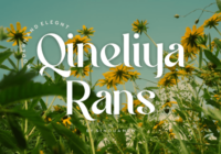 Qineliya Rans Font - Featured Image
