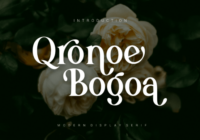 Qronoe Bogoa Font - Featured Image