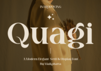 Quagi Font - Featured Image
