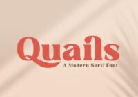 Quails Font - Featured Image