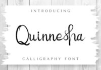 Quinnesha Font - Featured Image
