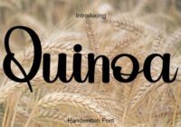 Quinoa Font - Featured Image