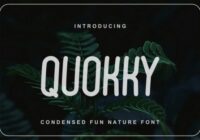 Quokky Font - Featured Image