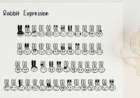 Rabbit Expression Font - Featured Image