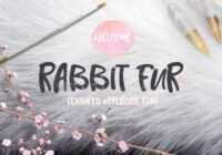 Rabbit Fur Font - Featured Image