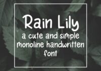 Rain Lily Font - Featured Image