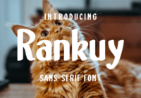 Rankuy Font - Featured Image