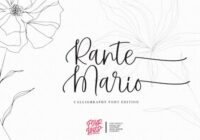 Rante Mario Font - Featured Image