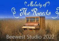 Reeds Font - Featured Image