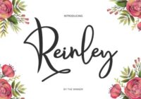 Reinley Font - Featured Image