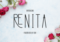 Renita Font - Featured Image