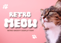Retro Meow Font - Featured Image