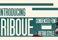 Riboue Font - Featured Image