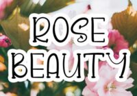 Rose Beauty Font - Featured Image