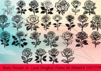Rose Flower in Love Font - Featured Image