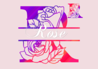 Rose Split Font - Featured Image