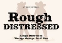 Rough Distressed Font - Featured Image
