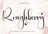 Roughberry Font - Featured Image
