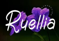 Ruellia Font - Featured Image