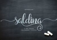 Saldina Font - Featured Image