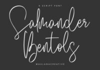 Salmander Bentols Font - Featured Image