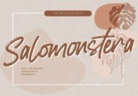 Salomonstera Font - Featured Image