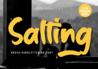 Salting Font - Featured Image