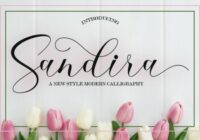 Sandira Script Font - Featured Image
