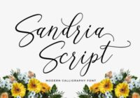 Sandria Script Font - Featured Image