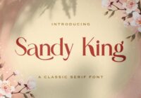 Sandy King Font - Featured Image