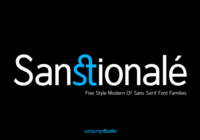 Sanstionale Font - Featured Image
