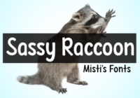 Sassy Raccoon Font - Featured Image