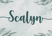 Scalyn Font - Featured Image