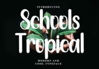 Schools Tropical Font - Featured Image